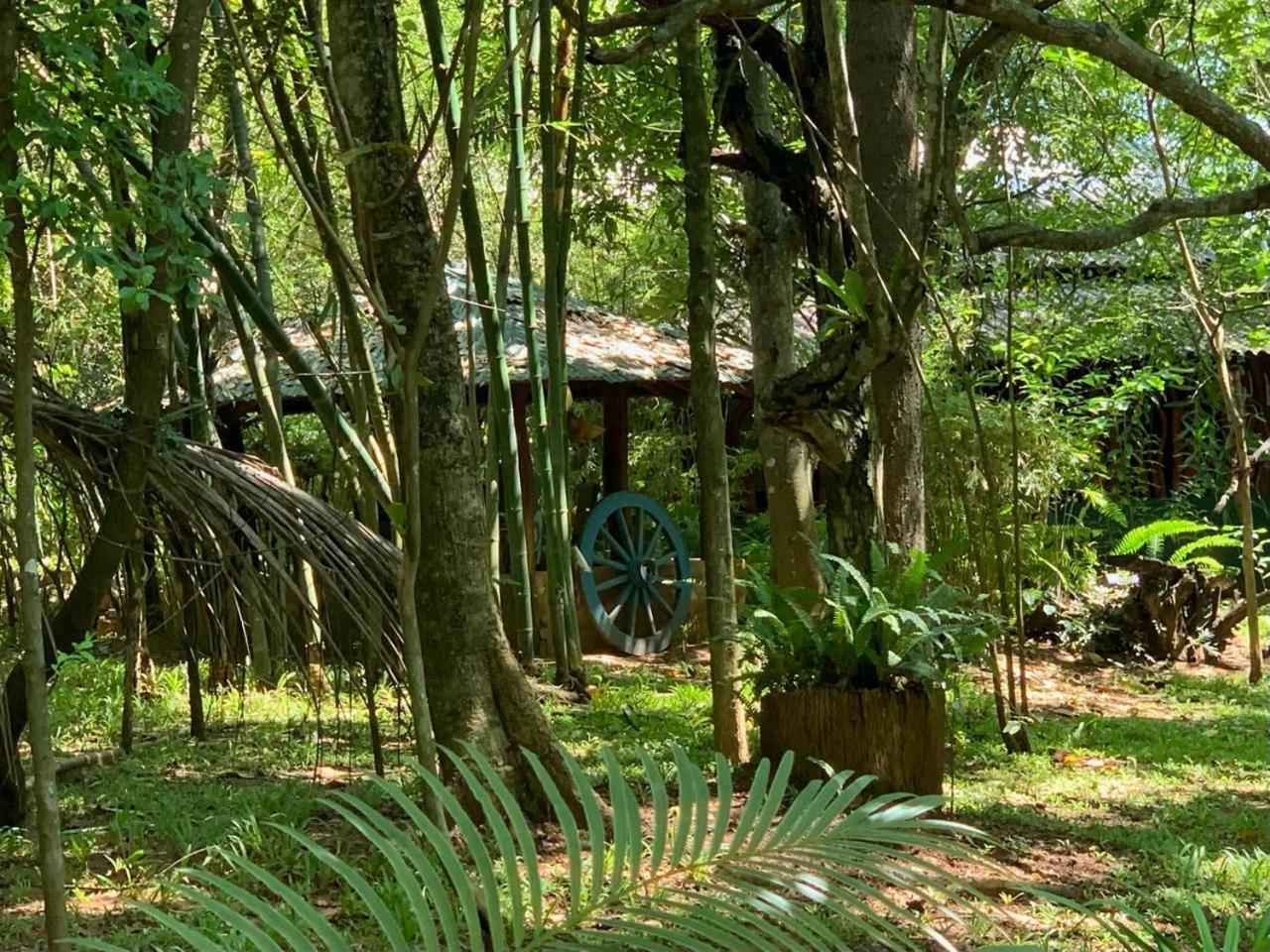 Walawa Blue Sapphire Hotel Udawalawe Eksteriør billede